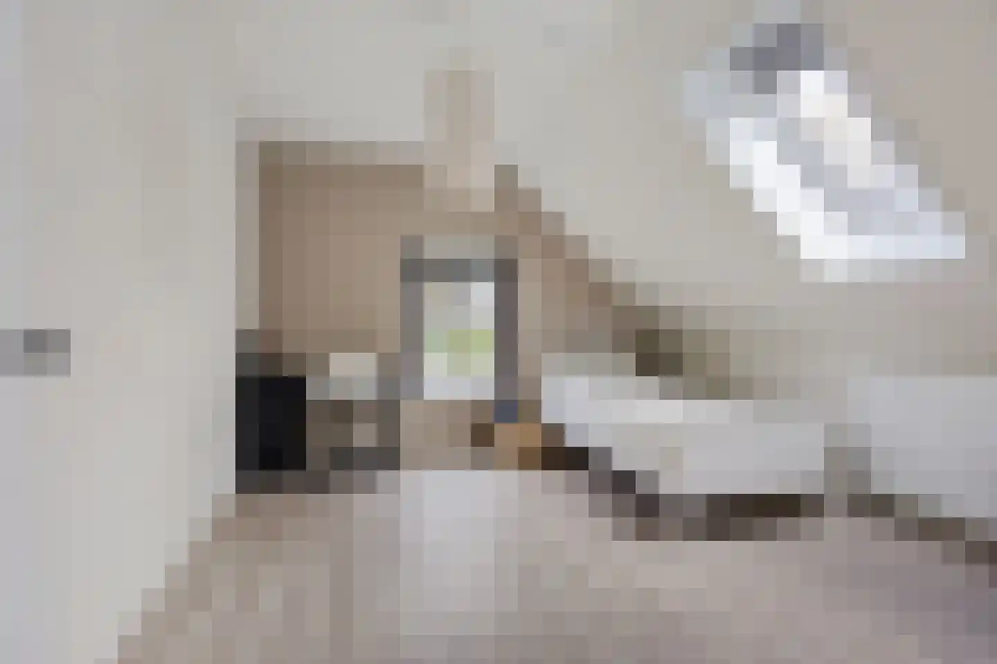 Oosteinde 52 Ruinerwold thumbnail 44