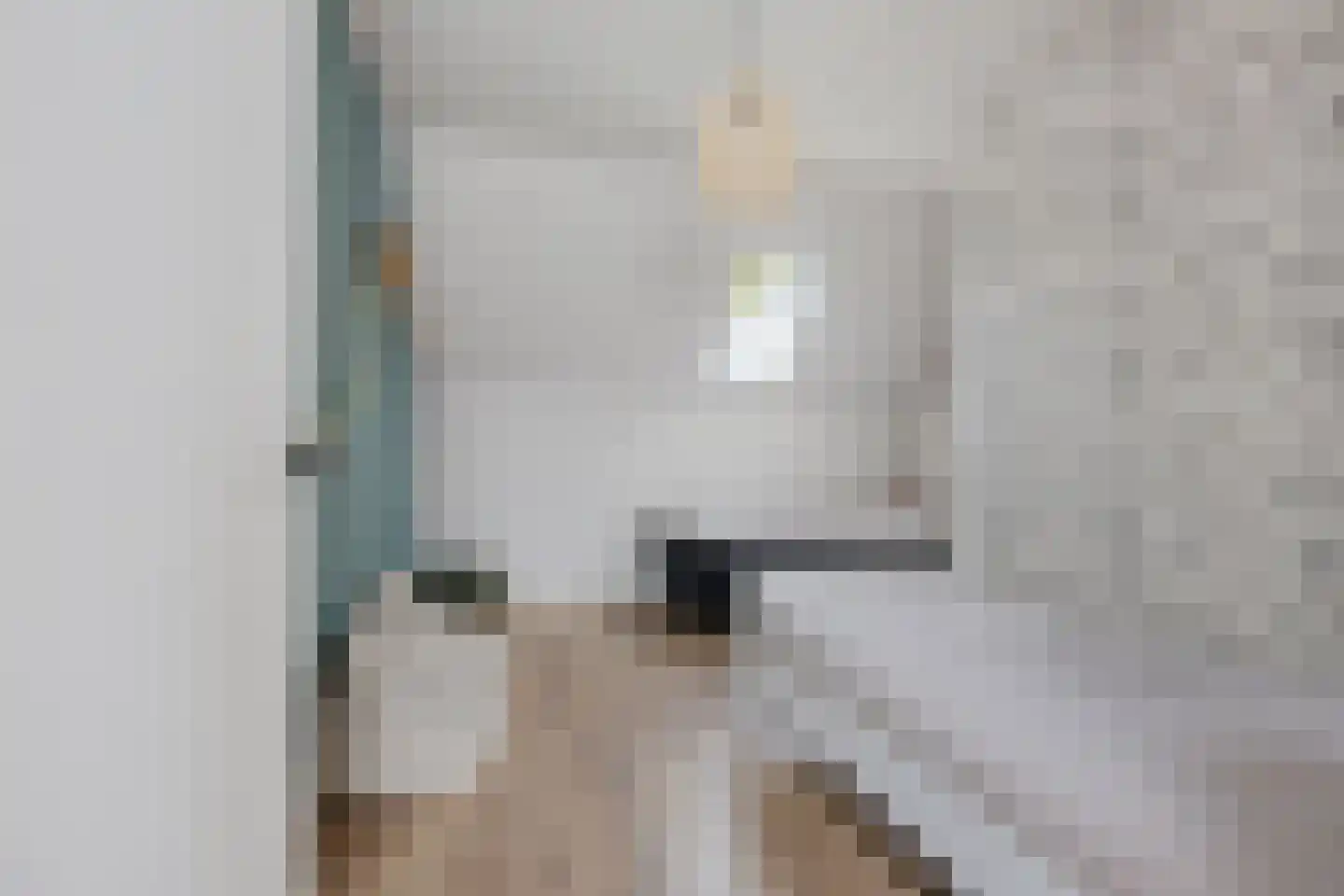 Oosteinde 52 Ruinerwold thumbnail 48