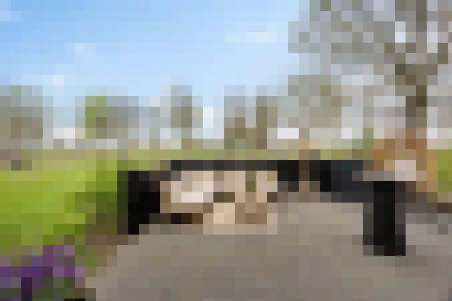 Oosteinde 52 Ruinerwold thumbnail 52