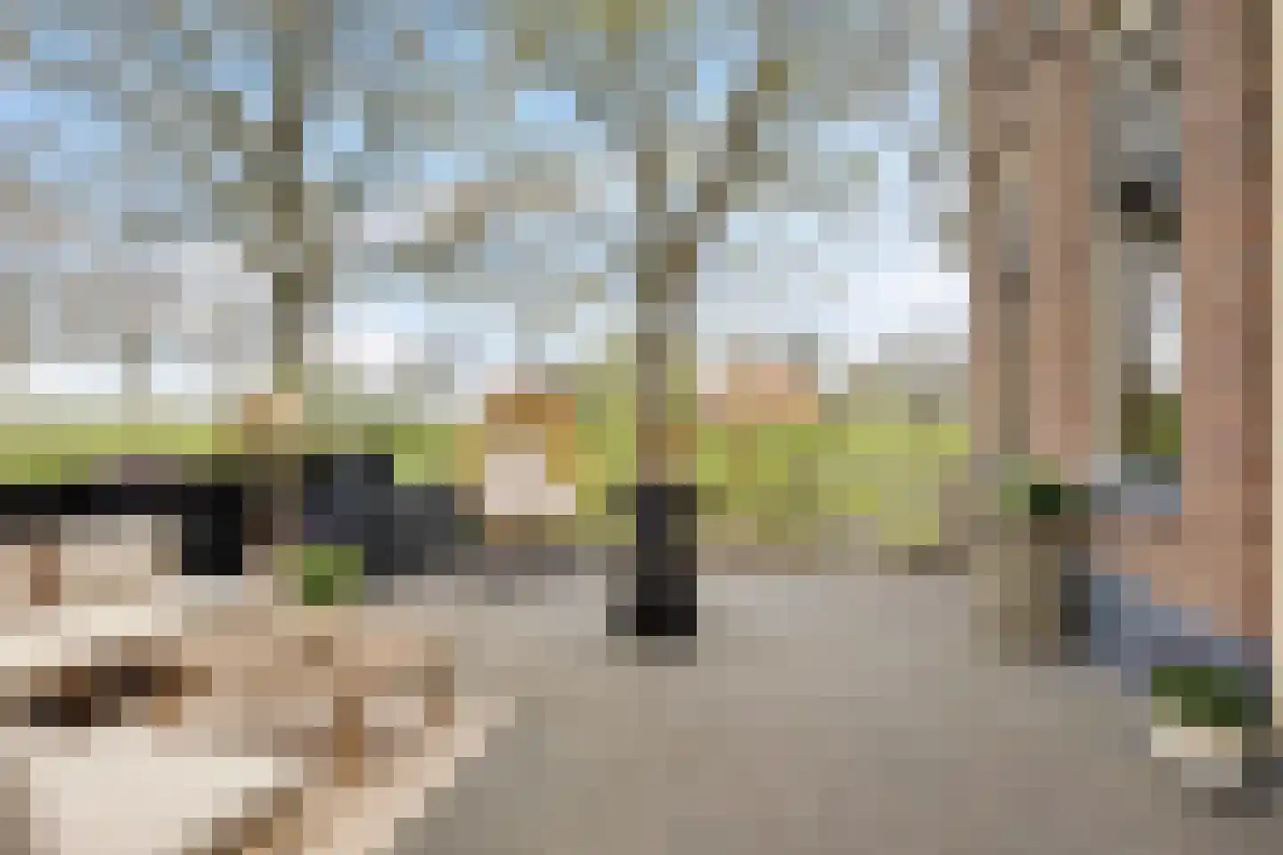 Oosteinde 52 Ruinerwold thumbnail 53