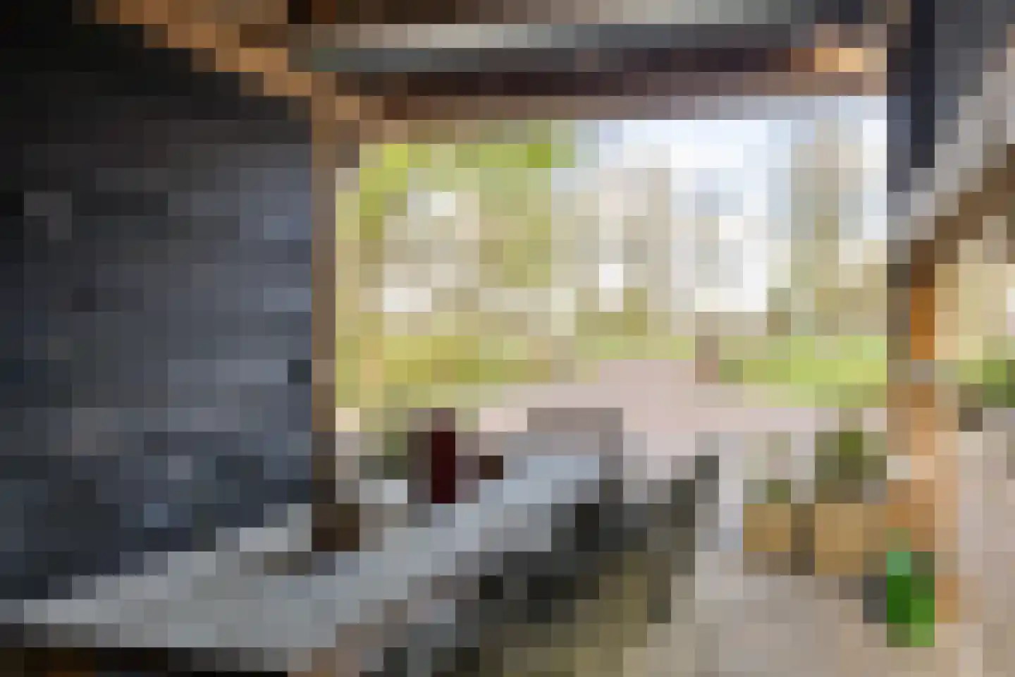 Oosteinde 52 Ruinerwold thumbnail 57
