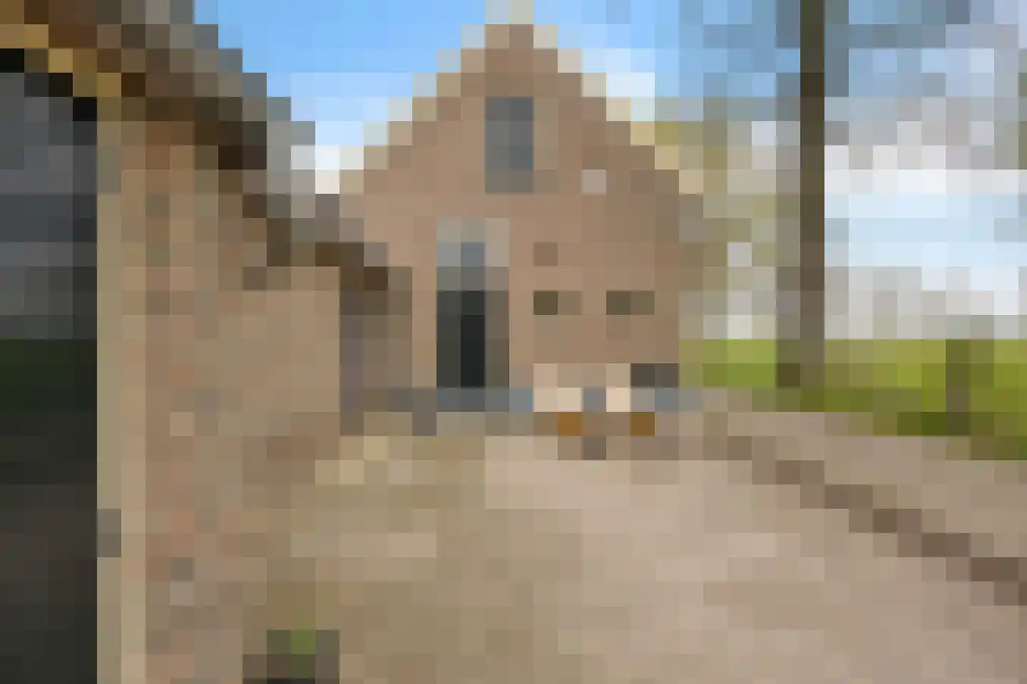 Oosteinde 52 Ruinerwold thumbnail 62