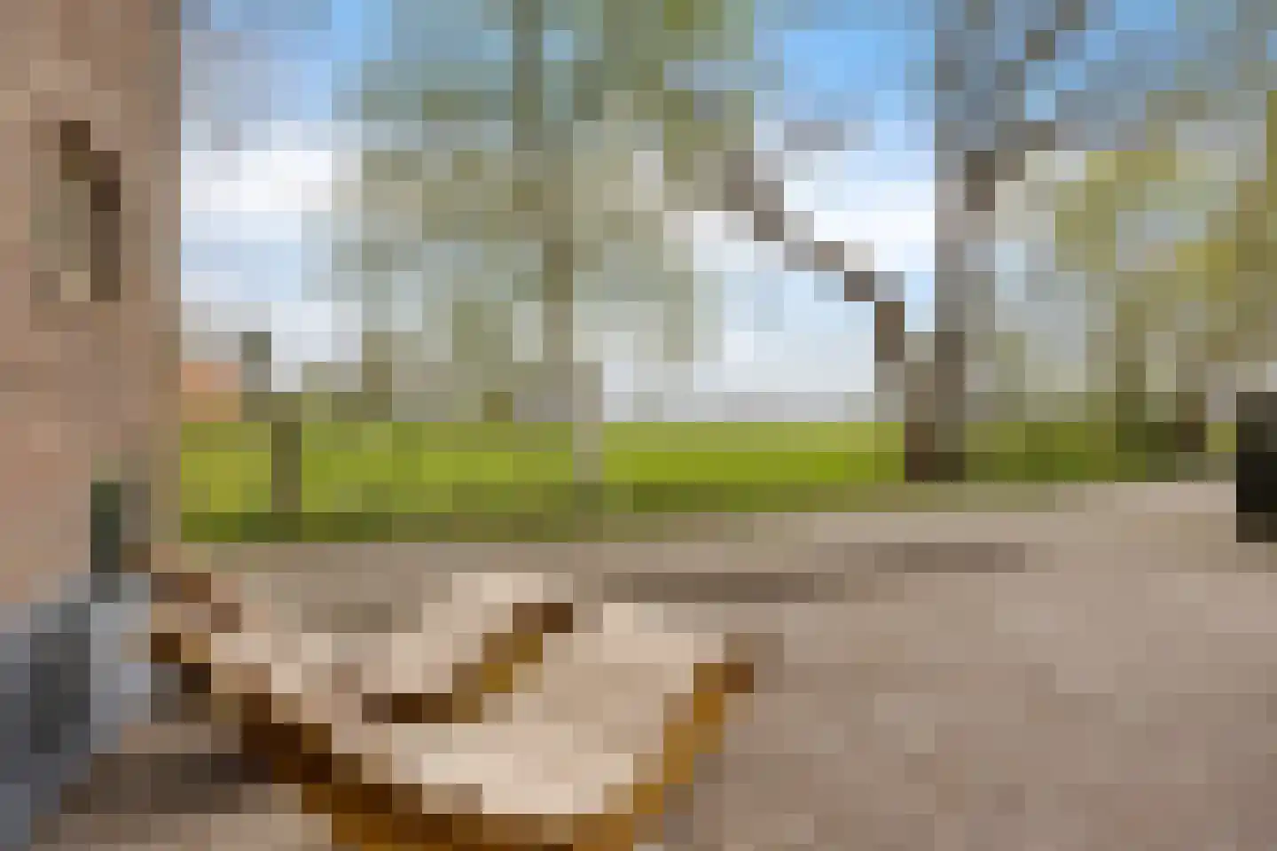 Oosteinde 52 Ruinerwold thumbnail 63