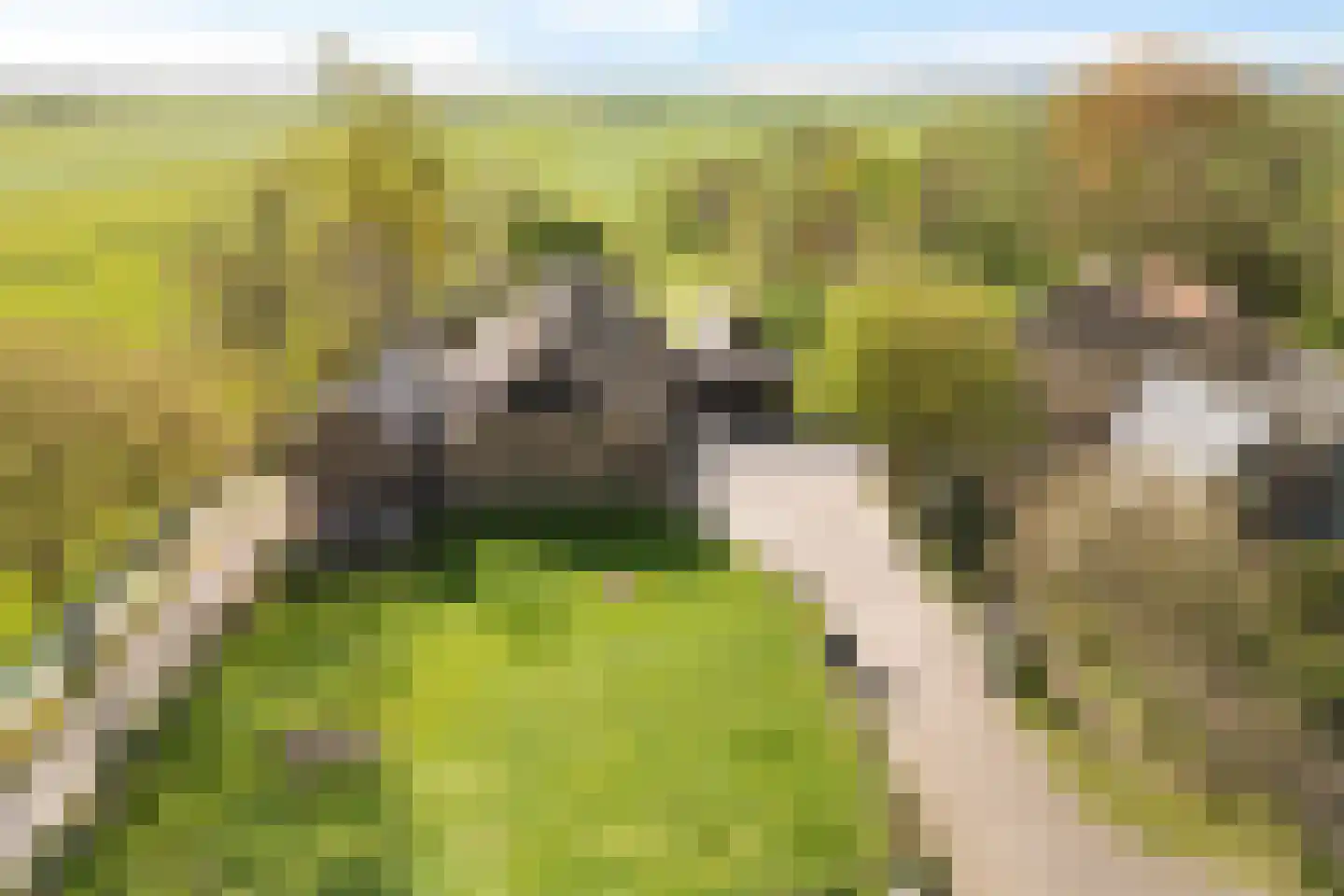 Oosteinde 52 Ruinerwold thumbnail 67