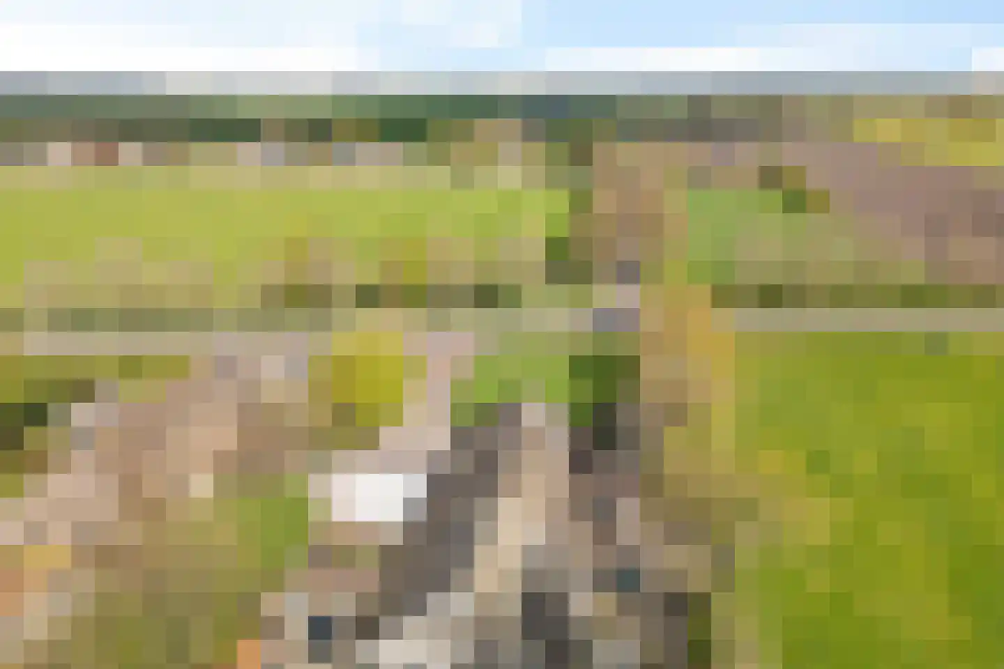 Oosteinde 52 Ruinerwold thumbnail 68