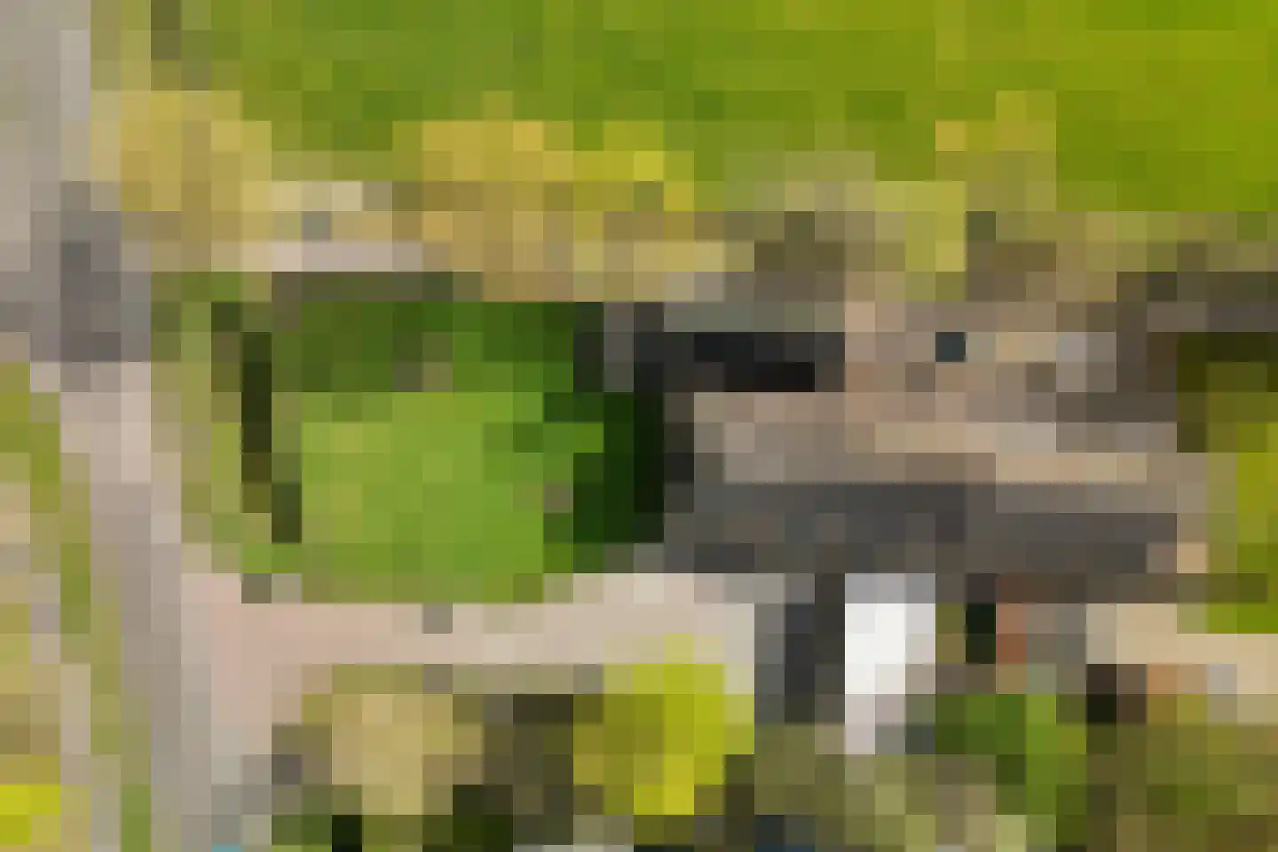 Oosteinde 52 Ruinerwold thumbnail 69