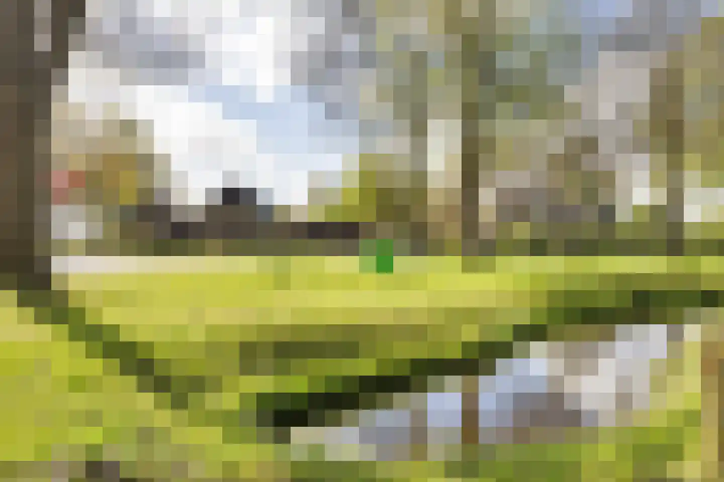 Oosteinde 52 Ruinerwold thumbnail 70