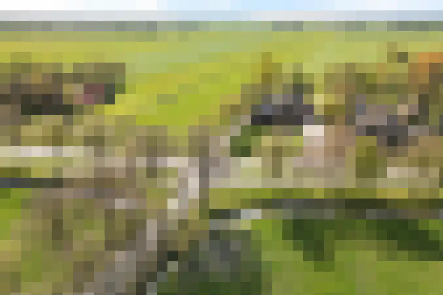 Oosteinde 52 Ruinerwold thumbnail 73