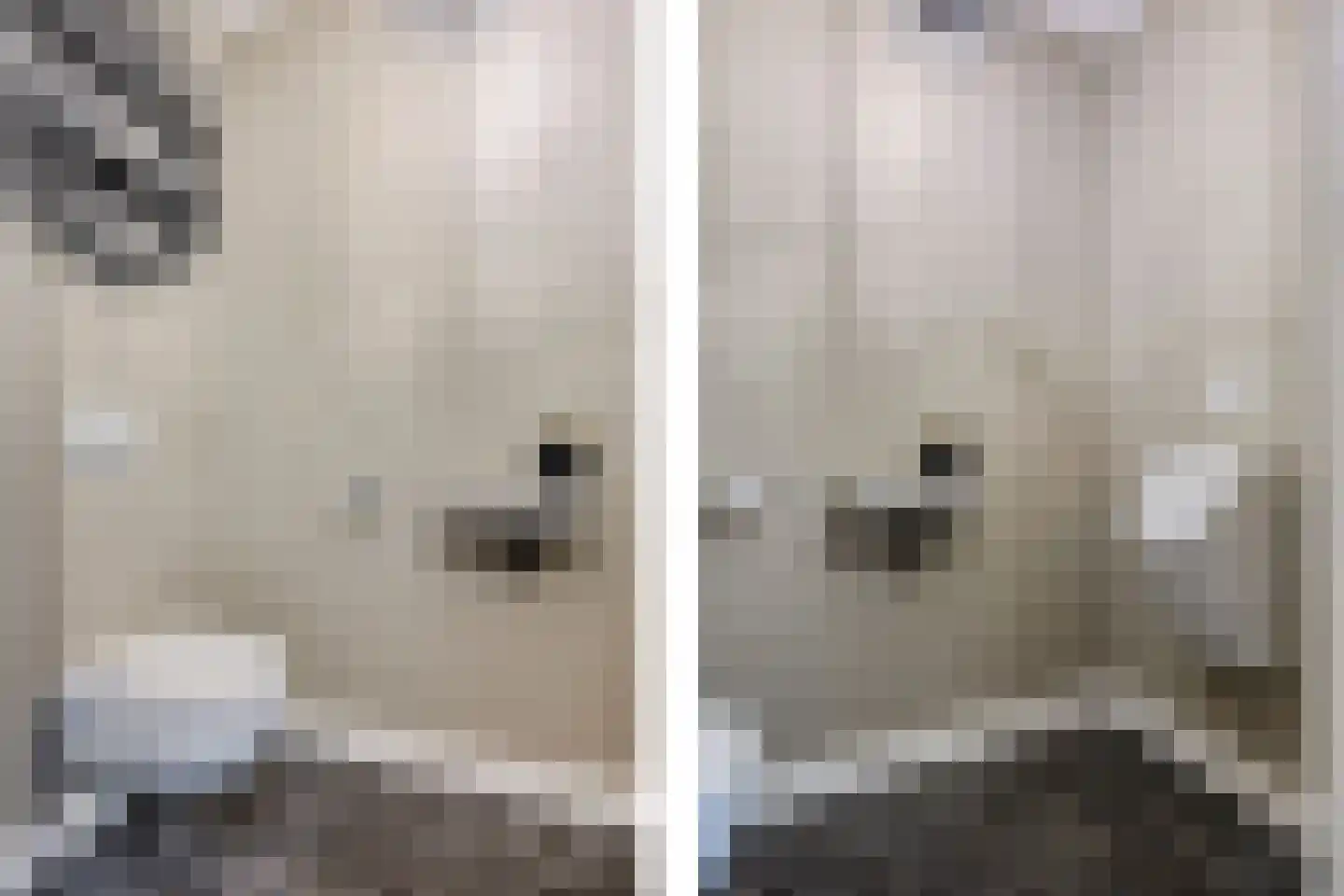 Oosteinde 52 Ruinerwold thumbnail 8