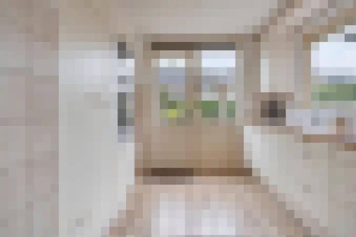 Oosteinde 52 Zevenaar thumbnail 15