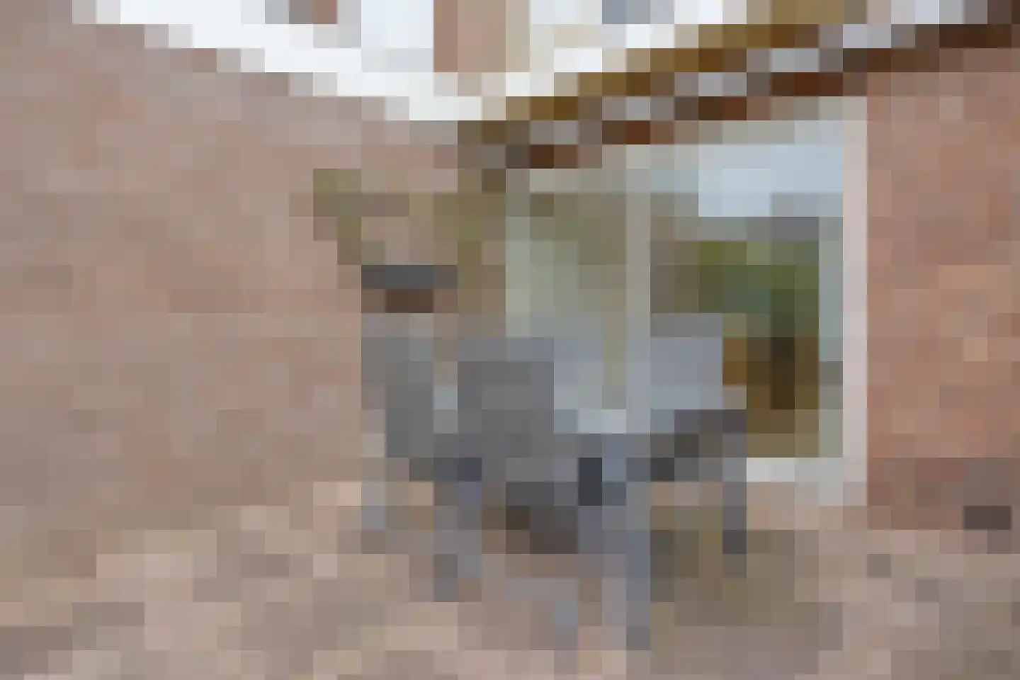 Oosteinde 52 Zevenaar thumbnail 37