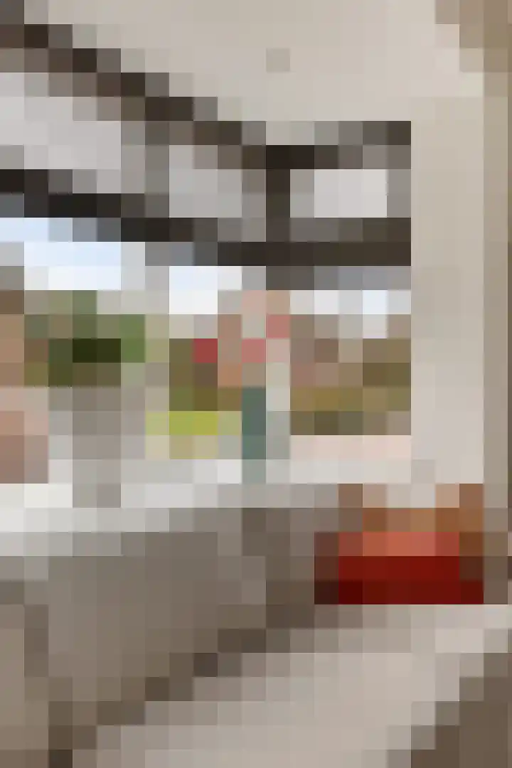 Oosteinde 53 Vriezenveen thumbnail 10
