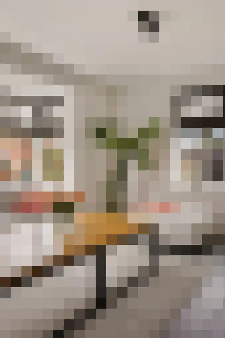 Oosteinde 53 Vriezenveen thumbnail 11