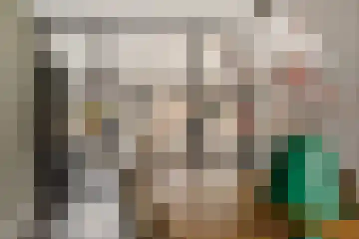 Oosteinde 53 Vriezenveen thumbnail 14