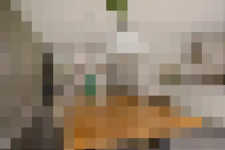 Oosteinde 53 Vriezenveen thumbnail 15