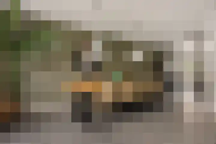 Oosteinde 53 Vriezenveen thumbnail 16