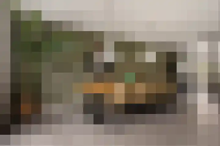 Oosteinde 53 Vriezenveen thumbnail 17
