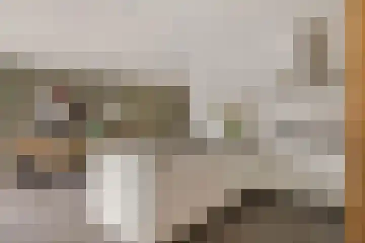 Oosteinde 53 Vriezenveen thumbnail 18