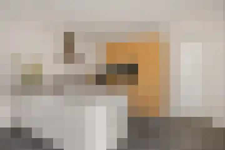 Oosteinde 53 Vriezenveen thumbnail 19