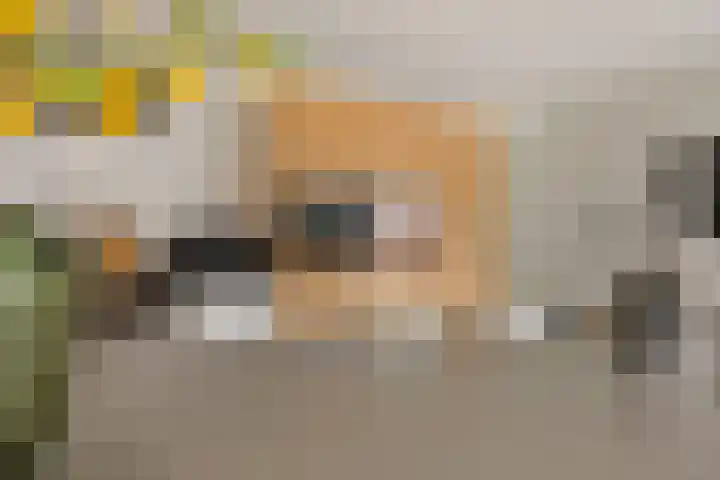 Oosteinde 53 Vriezenveen thumbnail 21
