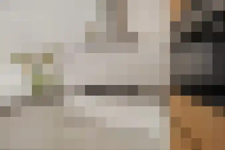 Oosteinde 53 Vriezenveen thumbnail 22