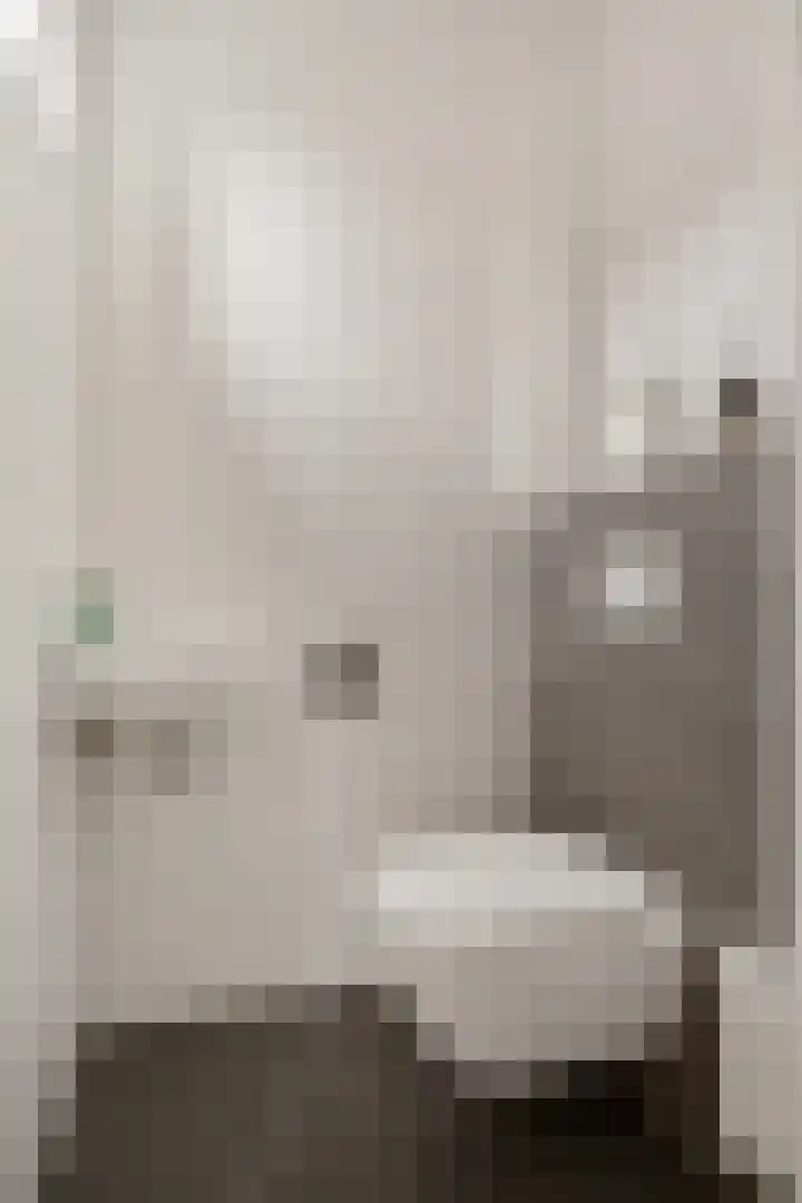 Oosteinde 53 Vriezenveen thumbnail 25
