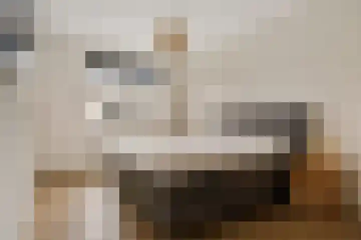 Oosteinde 53 Vriezenveen thumbnail 29