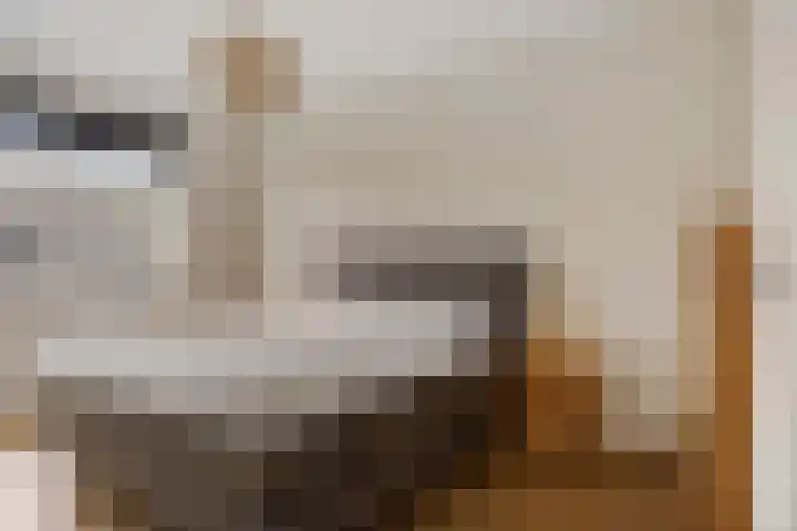 Oosteinde 53 Vriezenveen thumbnail 30