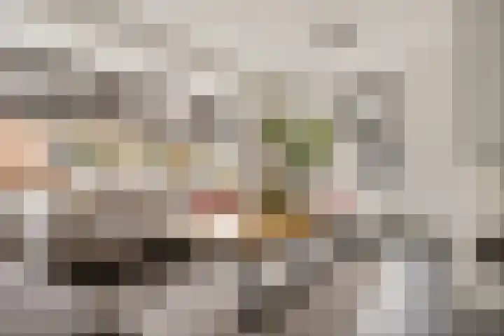 Oosteinde 53 Vriezenveen thumbnail 4