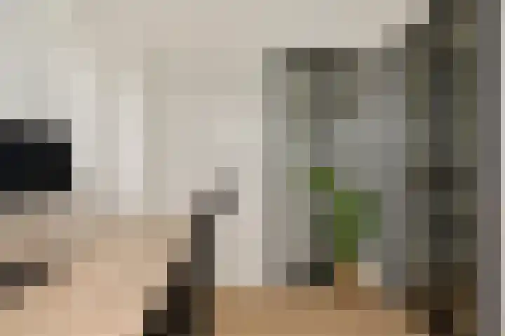Oosteinde 53 Vriezenveen thumbnail 44