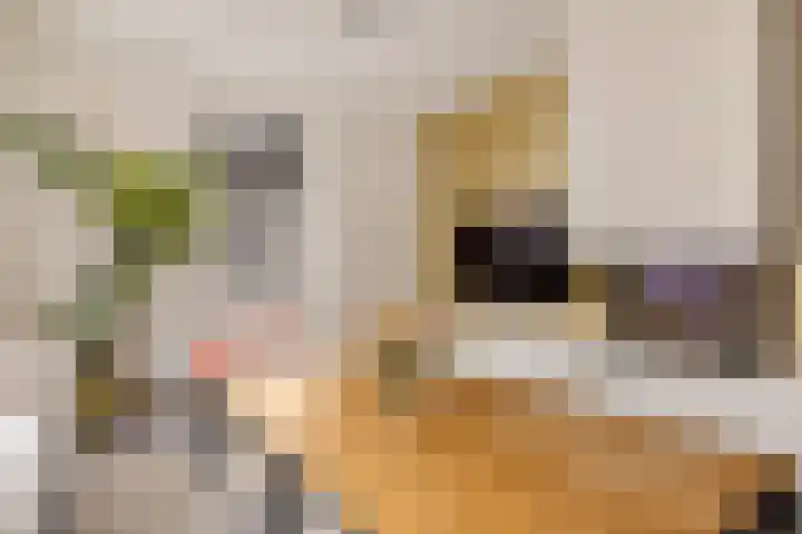 Oosteinde 53 Vriezenveen thumbnail 5