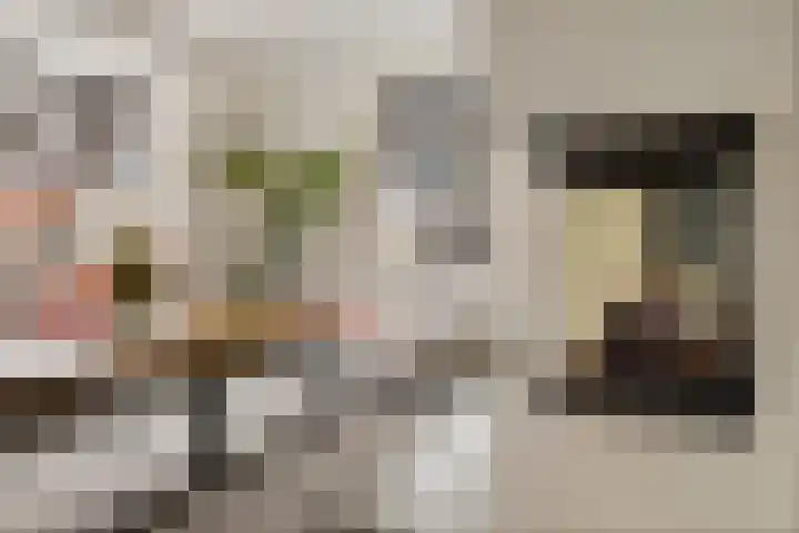 Oosteinde 53 Vriezenveen thumbnail 8
