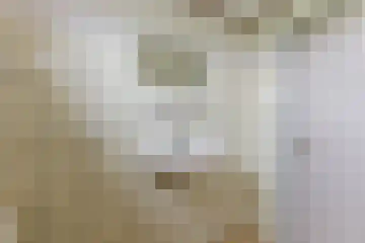 Oosteinde 54 Wormer thumbnail 15