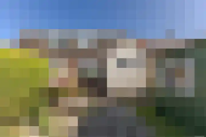 Oosteinde 54 Wormer thumbnail 21