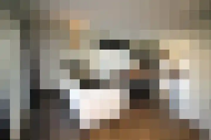 Oosteinde 55 b Vriezenveen thumbnail 10