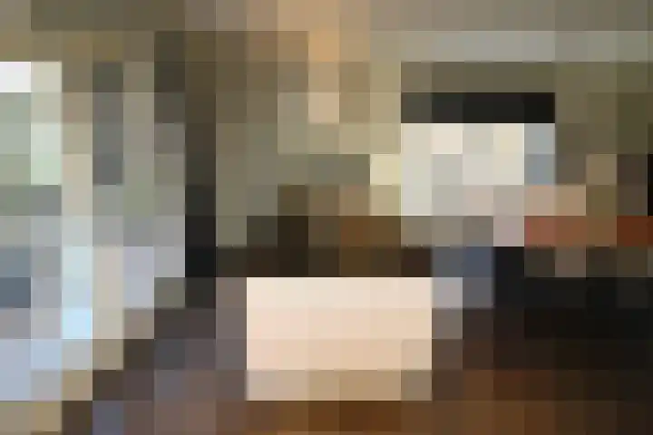 Oosteinde 55 b Vriezenveen thumbnail 11