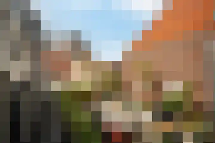 Oosteinde 55 b Vriezenveen thumbnail 15