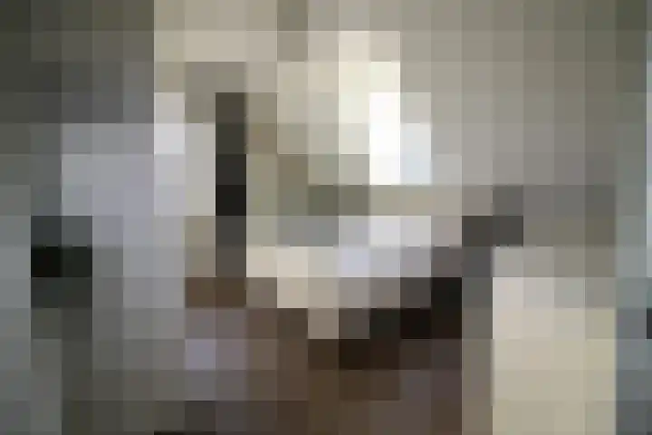 Oosteinde 55 b Vriezenveen thumbnail 19