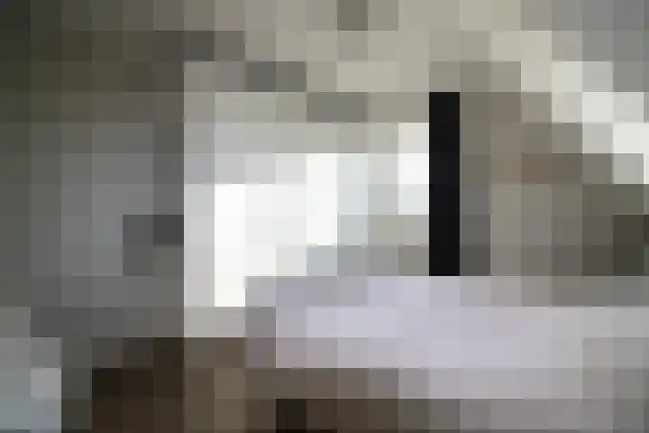 Oosteinde 55 b Vriezenveen thumbnail 19