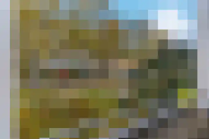 Oosteinde 55 b Vriezenveen thumbnail 25