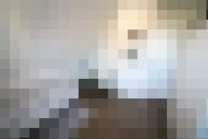 Oosteinde 55 b Vriezenveen thumbnail 24