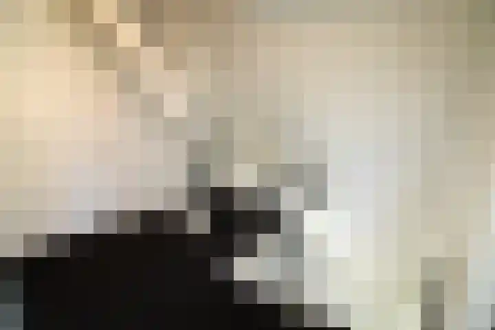 Oosteinde 55 b Vriezenveen thumbnail 25