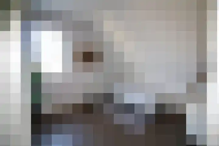 Oosteinde 55 b Vriezenveen thumbnail 27