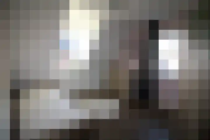 Oosteinde 55 b Vriezenveen thumbnail 27