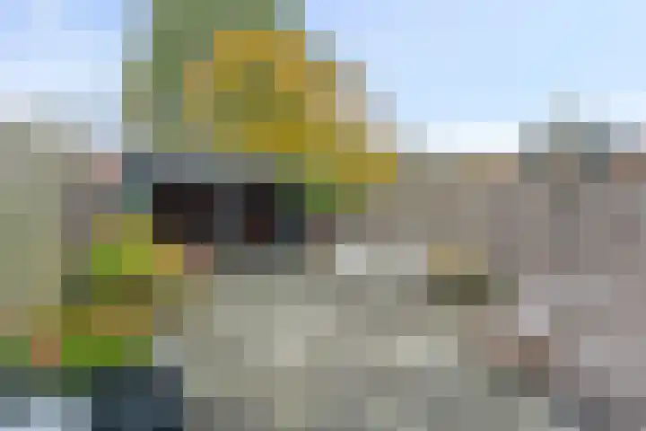 Oosteinde 55 b Vriezenveen thumbnail 44