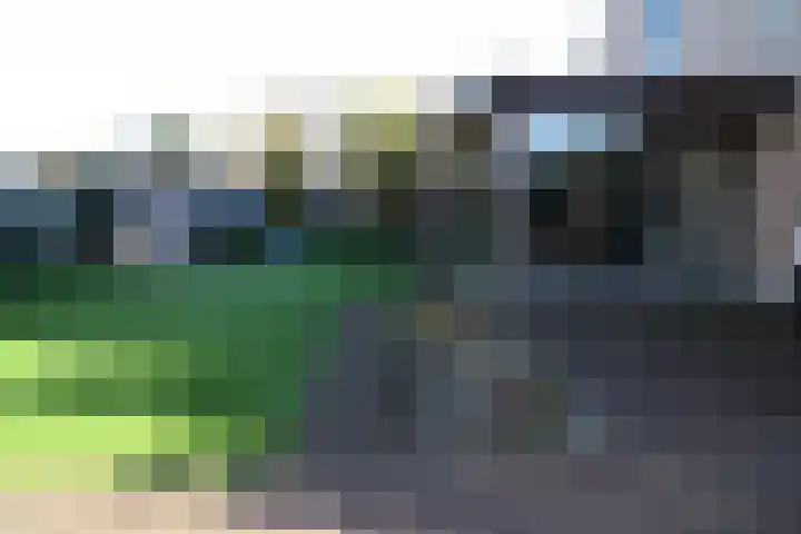 Oosteinde 55 b Vriezenveen thumbnail 45