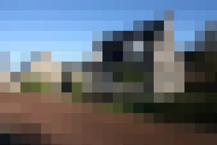 Oosteinde 55 b Vriezenveen thumbnail 47