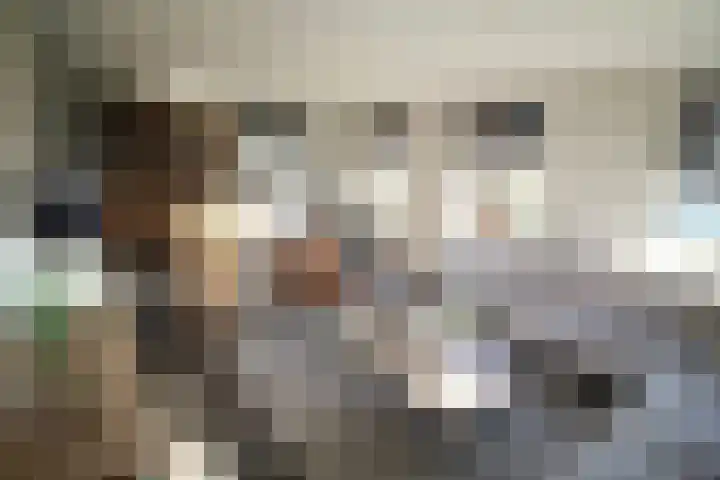 Oosteinde 55 b Vriezenveen thumbnail 5