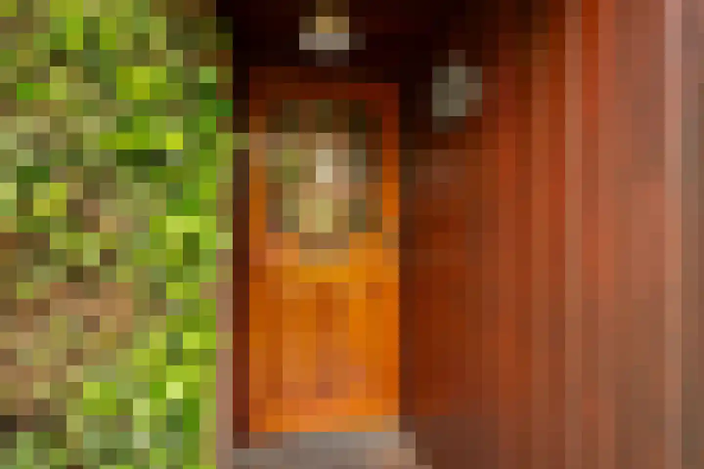 Oosteinde 56 Zevenaar thumbnail 10