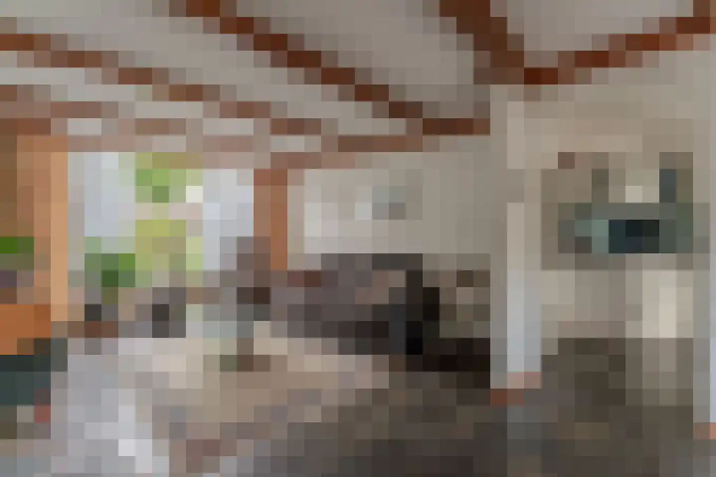 Oosteinde 56 Zevenaar thumbnail 19
